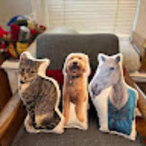 Meet your Posher, Logan